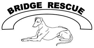 Bridge Rescue logo.jpg