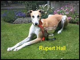 Rupert Hall